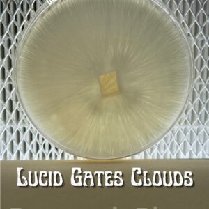 Lucid Gates 'Clouds' Research Plate