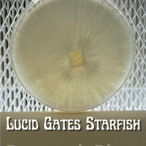Lucid Gates 'Starfish' Research Plate