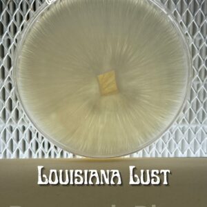 Louisiana Research Plate