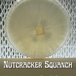 Nutcracker Squanch Research Plate