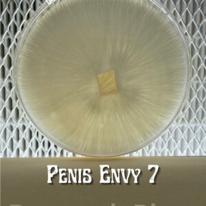 Penis Envy #7 Research Plate