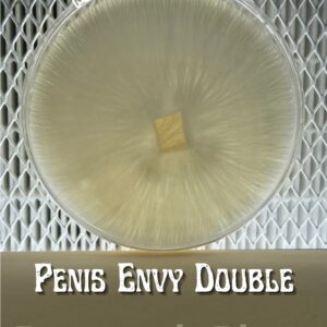 Penis Envy Double Research Plate