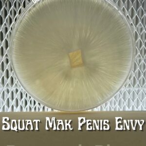 Squat Mak Penis Envy Research Plate