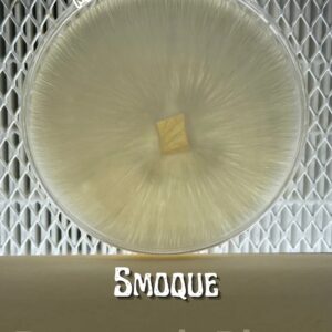Smoque Research Plate