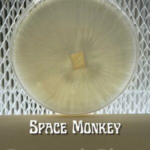 Space Monkey Research Plate