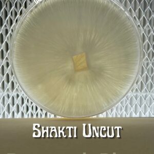 Shakti Uncut Research Plate