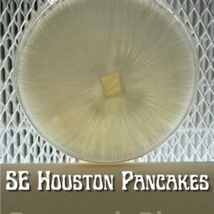 SE Houston Pancakes Research Plate