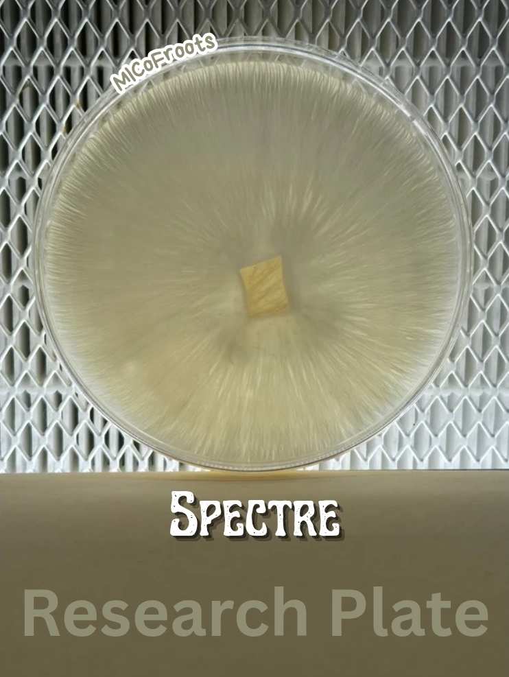 Spectre Research Plate