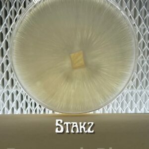 Stakz Research Plate