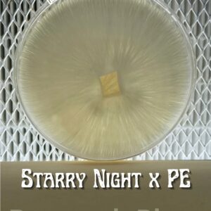 Starry Night x Penis Envy Research Plate