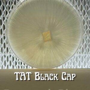 TAT Black Cap Research Plate