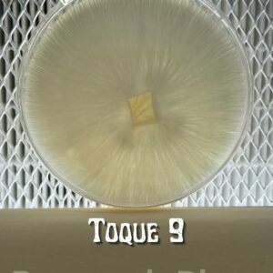 Toque F9 Research Plate