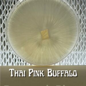 Thai Pink Buffalo Research Plate