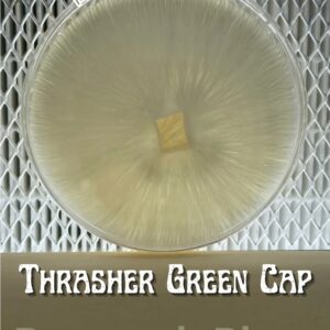 Thrasher Green Cap Research Plate
