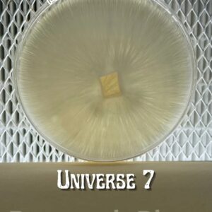 Universe 7 Research Plate