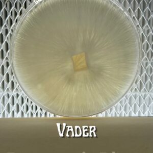 Vader Research Plate