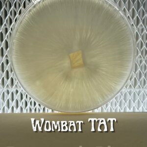 Wombat TAT Research Plate