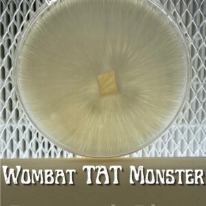 Wombat TAT Monster Research Plate