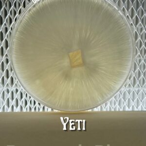 Yeti Research Plate