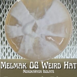 Melmak OG Weird Hat Monokaryon Isolate Research Plate