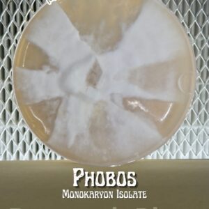 Phobos Monokaryon Isolate Research Plate