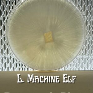 Leucistic Machine Elf Research Plate