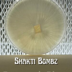 Shakti Bombz Research Plate