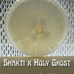 Shakti x Holy Ghost Research Plate