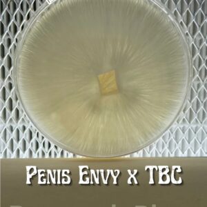 Penis Envy x TAT Black Cap Research Plate