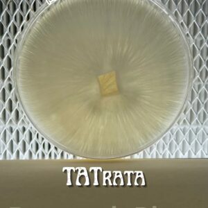 TATrata Research Plate