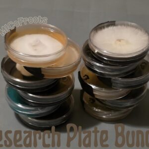 12x Research Plate Bundle (Vendor's Choice)