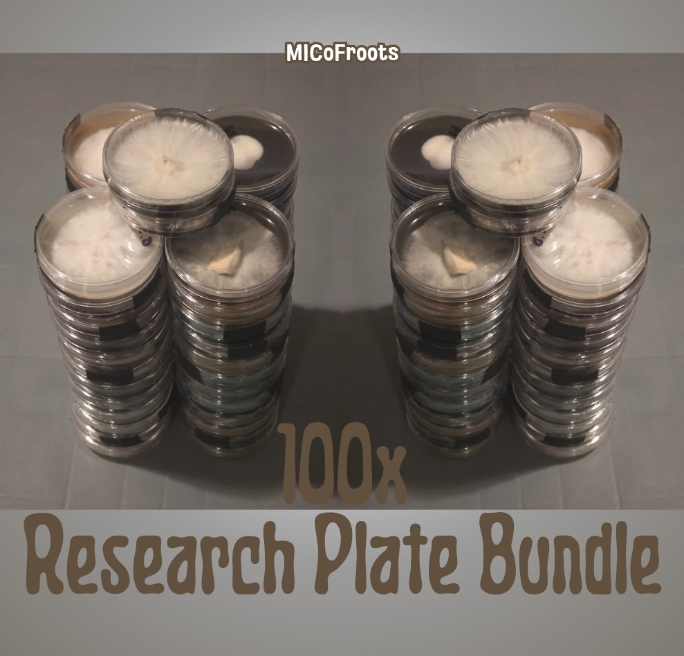 100x Research Plate Bundle (Vendor's Choice)