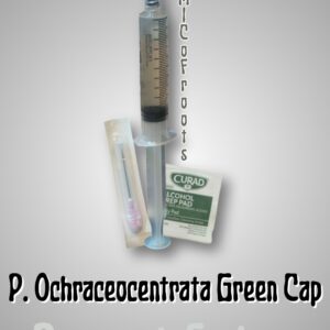 P. Ochraceocentrata Green Cap Research Syringe