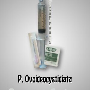Psilocybe Ovoideocystidiata Research Syringe