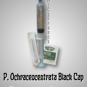 P. Ochraceocentrata Black Cap Research Syringe