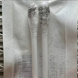 Subtropicalis var Convexa Swab Set