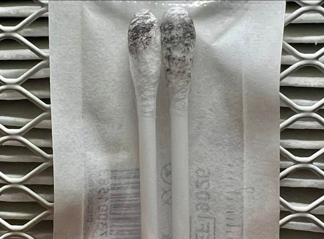 Subtropicalis var Convexa Swab Set