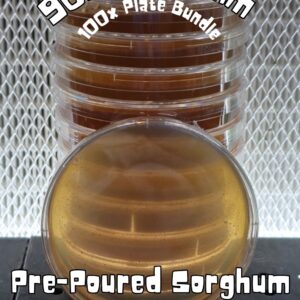 100x Prepoured "High Nute" Sorghum Agar (90mm)