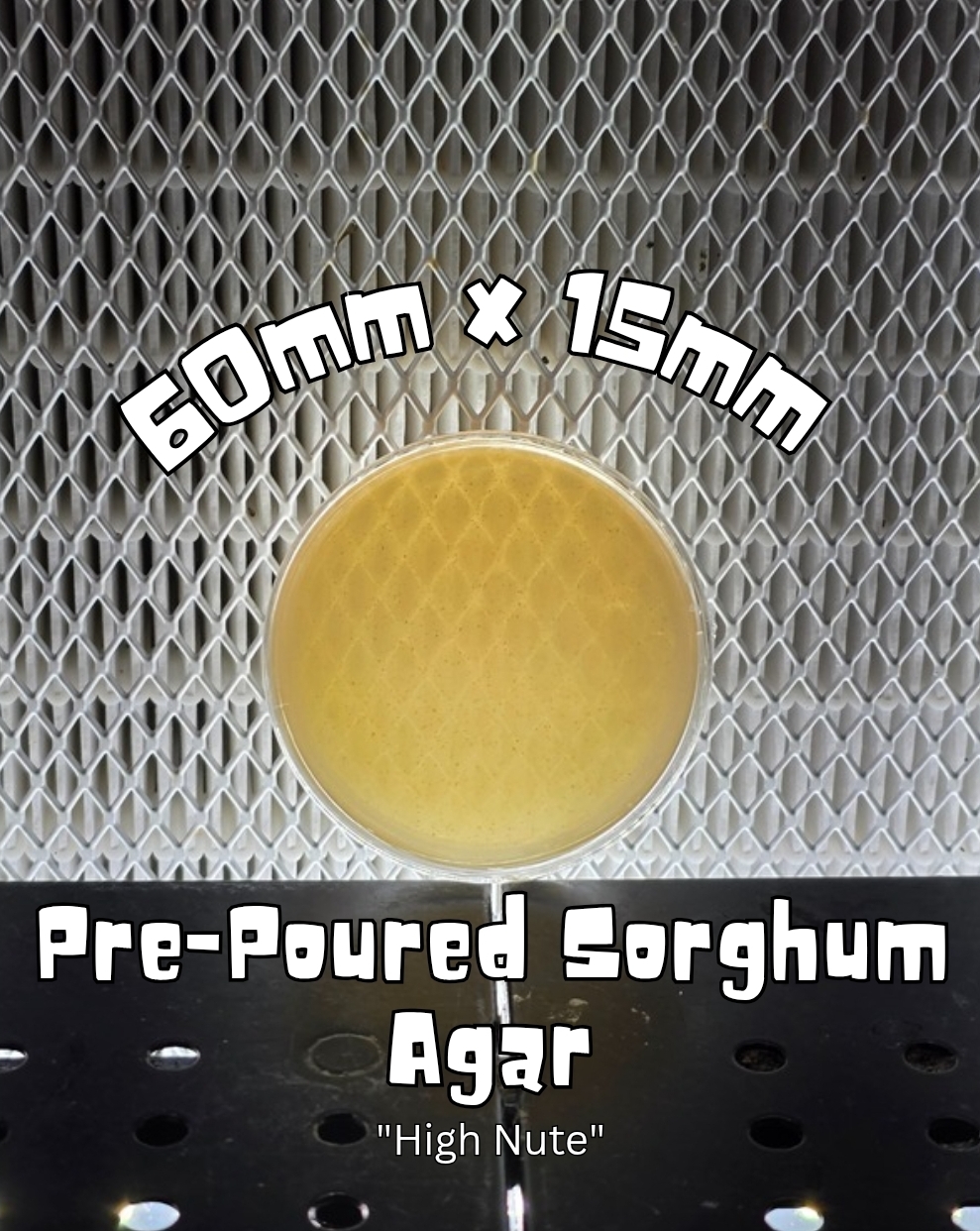 Prepoured "High Nute" Sorghum Agar (60mm)