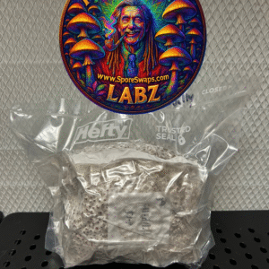 1.5lbs Milo Grain Spawn