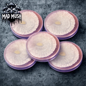 5-Pack Research Plates