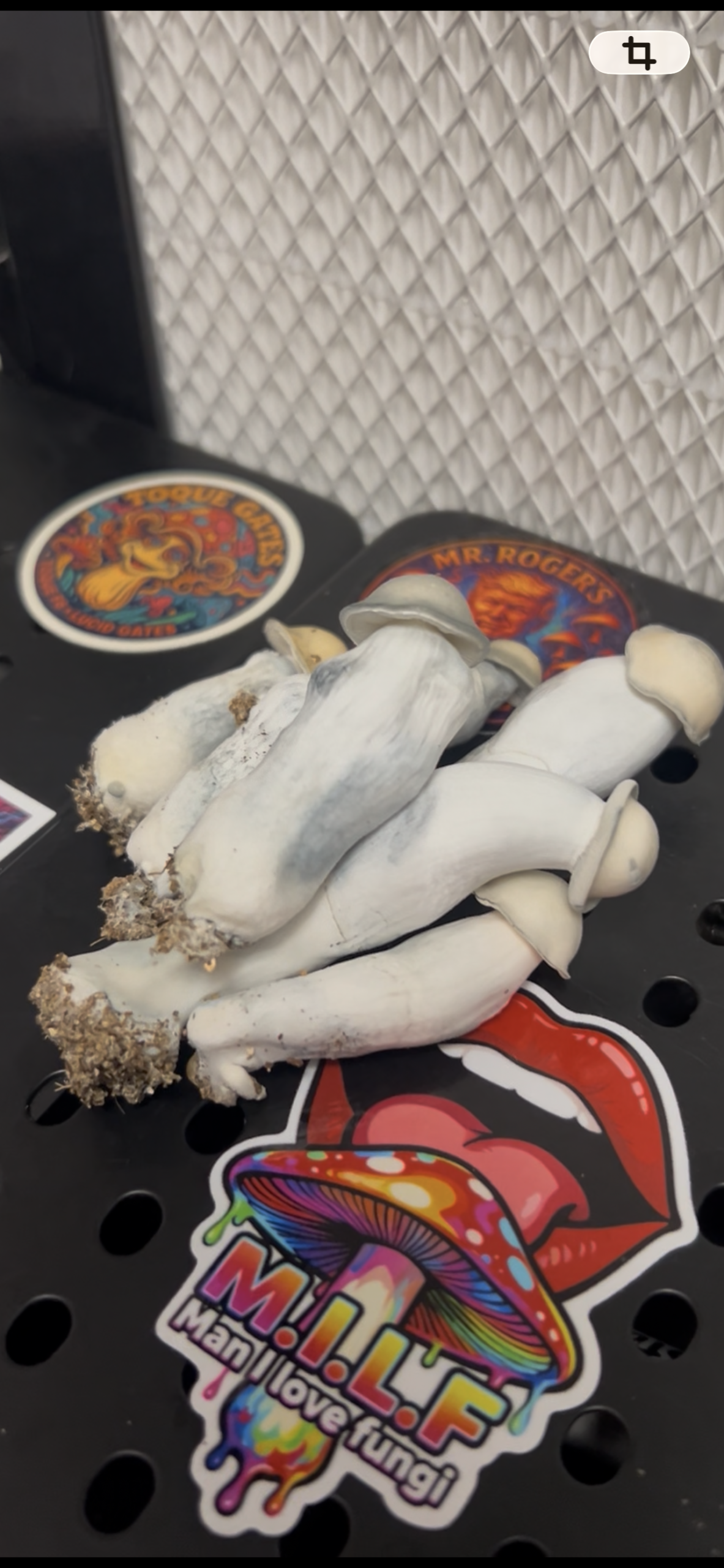 Drunk APE’s Research Swab Set - Image 2