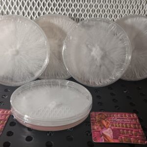 Milky Way Bundle (6 Plates)