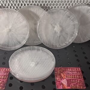 Charm Bundle (6 Plates)