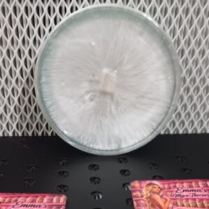 Brazilian Research Plate