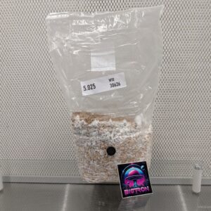 Research Grain 3lbs - Malabar Coast