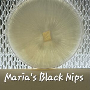 Maria's Black Nips Research Plate