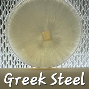 Greek Steel Research Plate