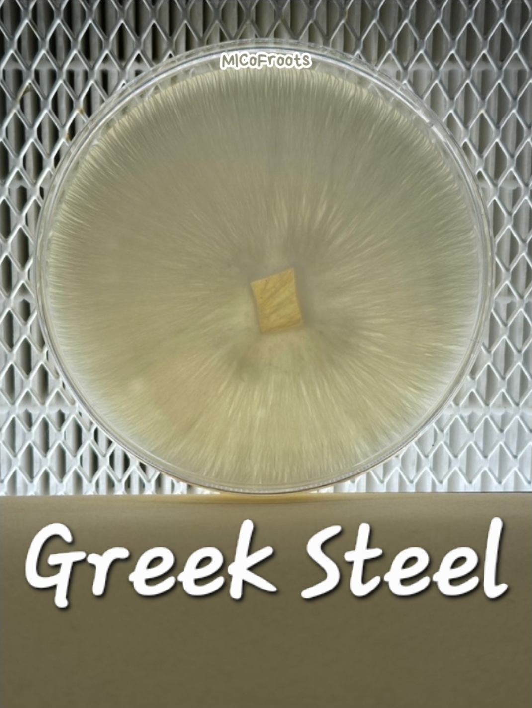 Greek Steel Research Plate