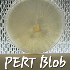 PERT Blob Research Plate